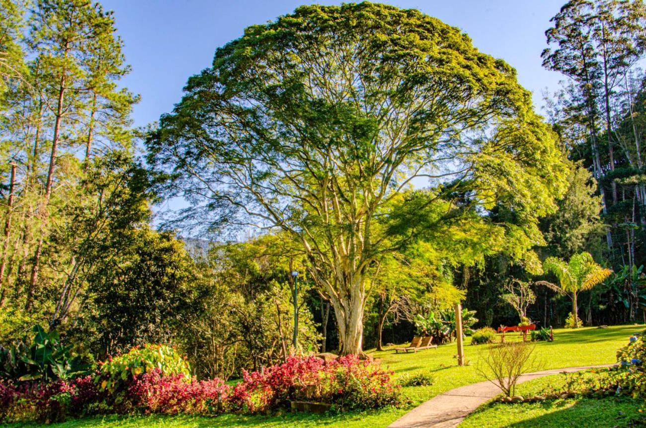 Pousada Pau Brasil Visconde De Maua Bagian luar foto